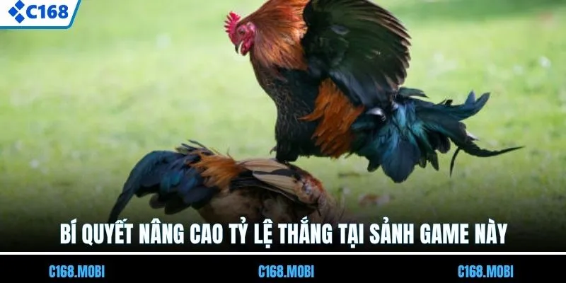 Bí quyết nâng cao tỷ lệ thắng tại sảnh game này